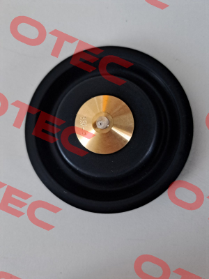 R450431/E Ode