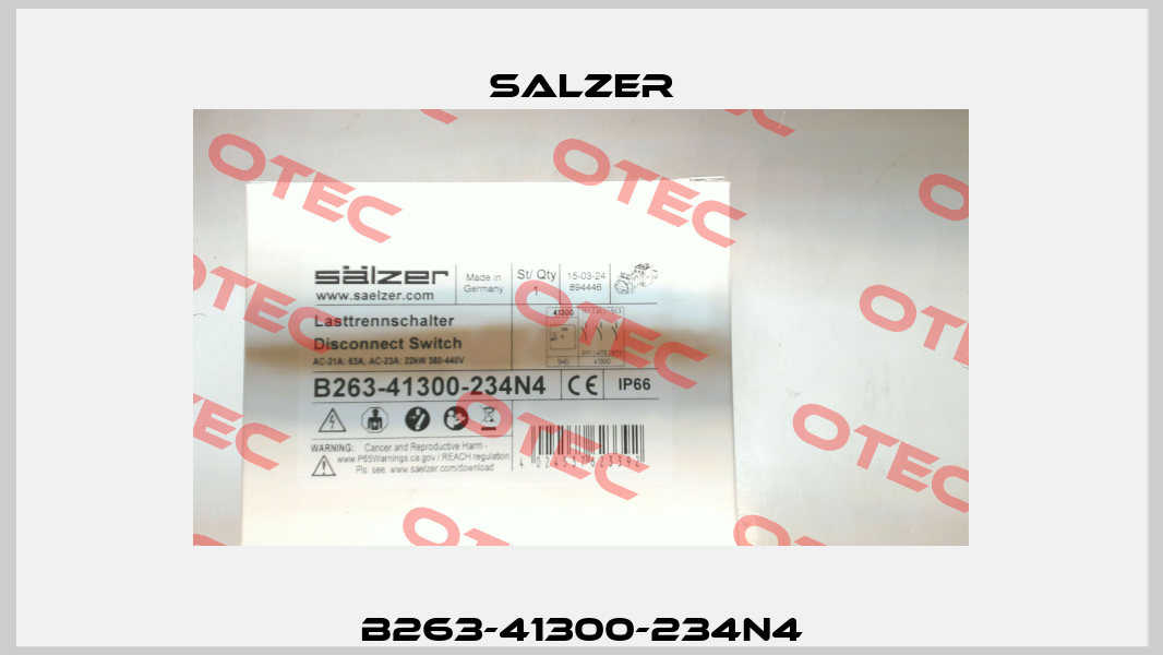 B263-41300-234N4 Salzer