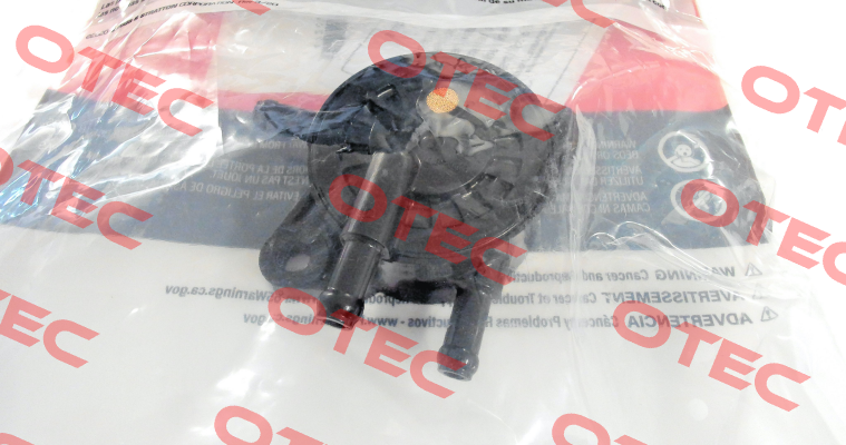808492 Briggs-Stratton
