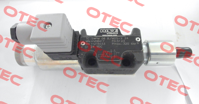 SBM220PC06PGSO973B2 (HV08417) Hoerbiger