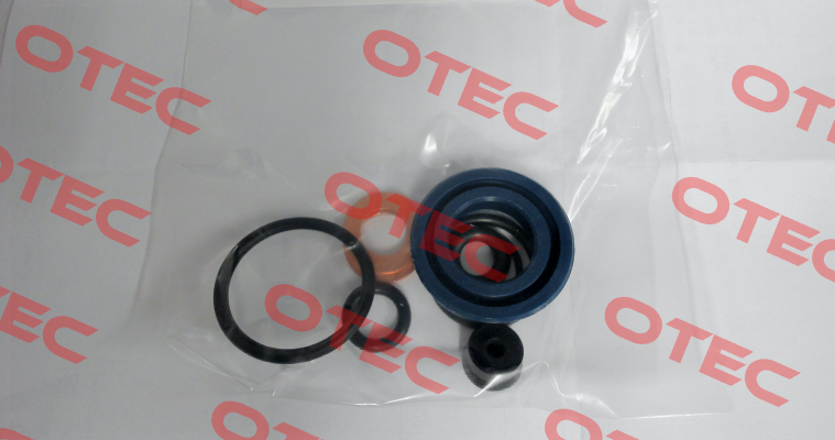 P/N: 10104, Type: Seal kit for V5 GKS-Perfekt