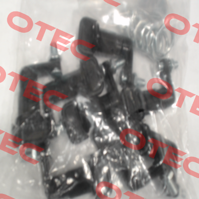220-9313.00-00000 Dirak