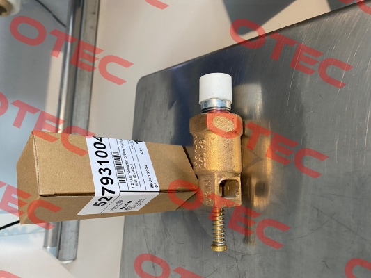 527932004 Johnson Controls
