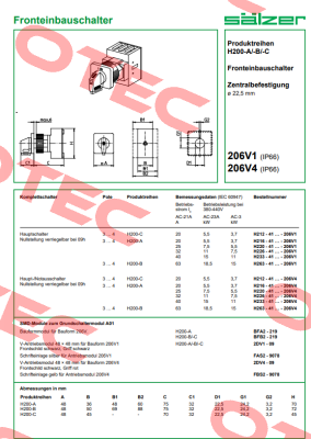 H226-41300-206V4 Salzer