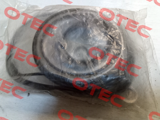 ARS/ARSW Seal Kit Brevini