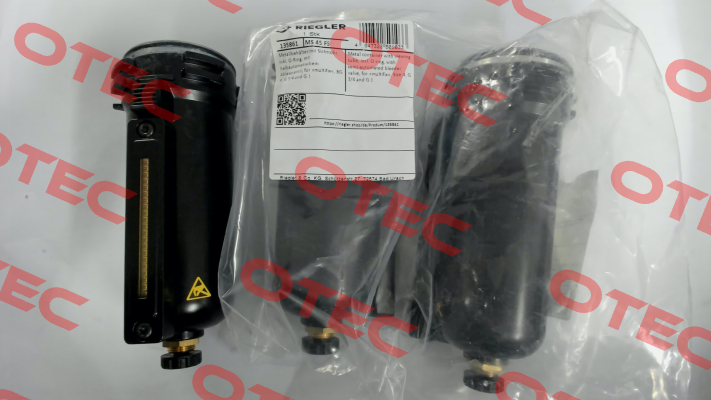 135861 / MS 45 FS Riegler