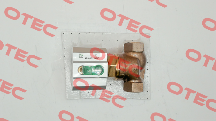 G1018224SC Pneumax