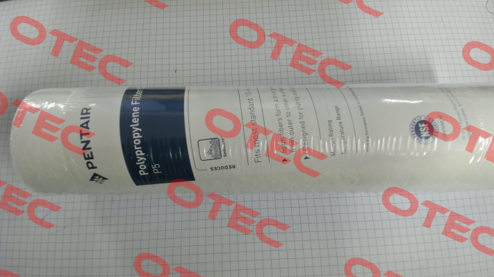 PS5-10 Pentek (Pentair)