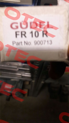 900713  /FR10R Güdel