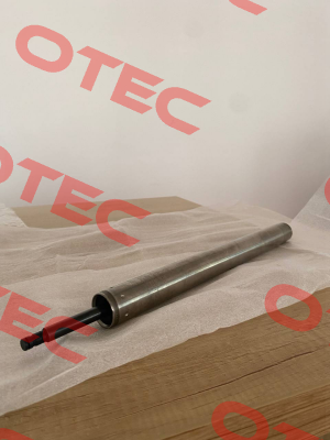 311774 Stabilus