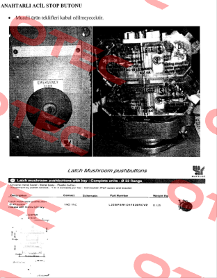 L22BPSR101F620RCV2  mafelec