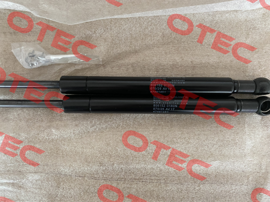 806152 Stabilus