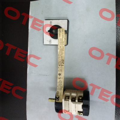 T317, T20  Telergon