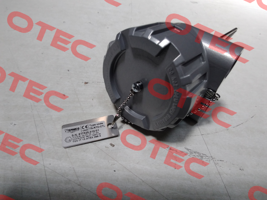 TS-RTD-CTL Termics