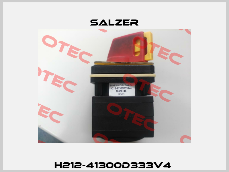 H212-41300D333V4  Salzer