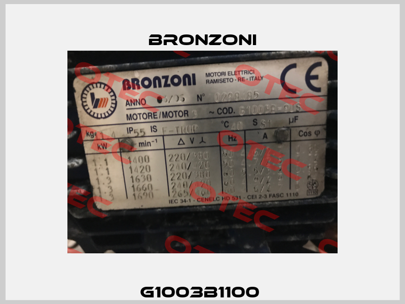 G1003B1100  Bronzoni