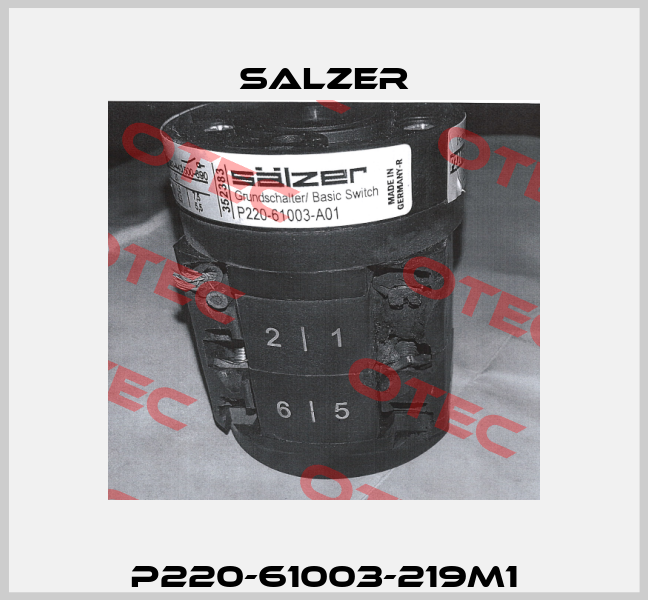 P220-61003-219M1 Salzer