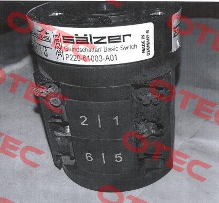 P220-61003-219M1 Salzer