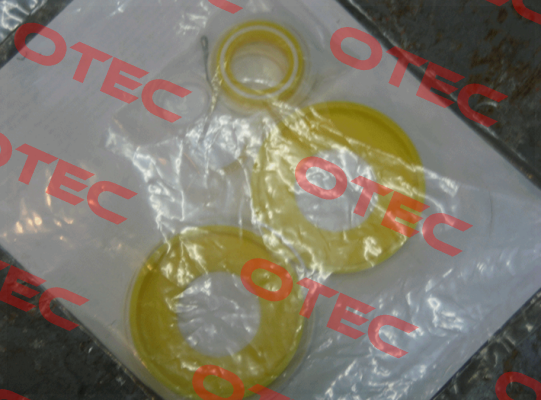 861075 Repair Kit Binks