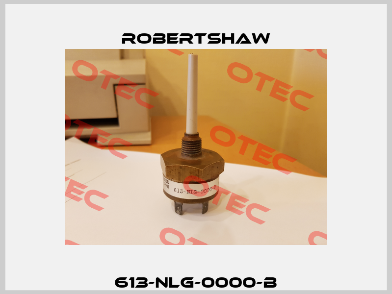 613-NLG-0000-B Robertshaw