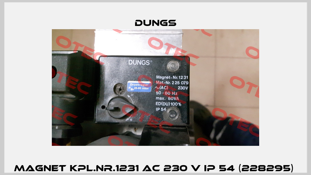 Magnet kpl.Nr.1231 AC 230 V IP 54 (228295)  Dungs