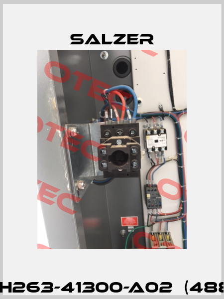 P/N:  H263-41300-A02  (488391)  Salzer