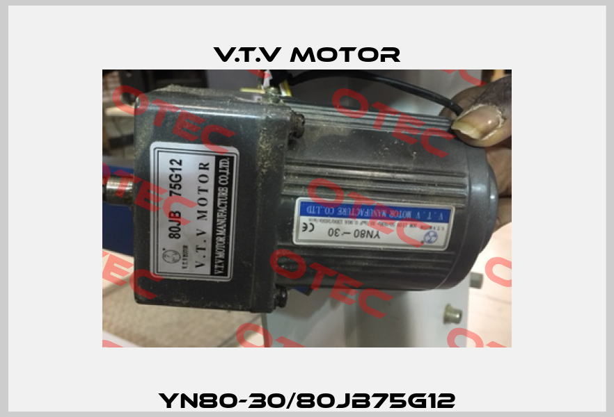 YN80-30/80JB75G12 V.t.v Motor