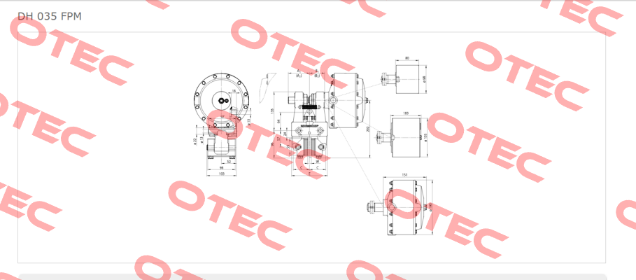 DH 035 FPM-122R-12  Ringspann