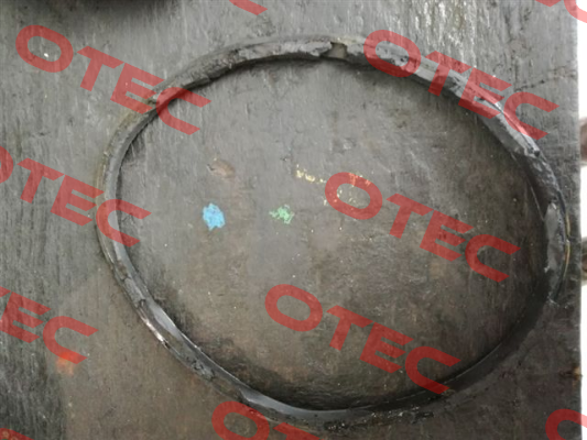 O-ring for Serial n. CF 0010373   Tecofi