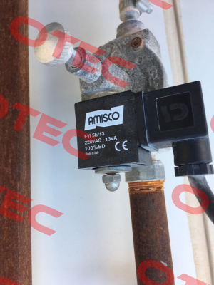 EVI 5E/13  Amisco