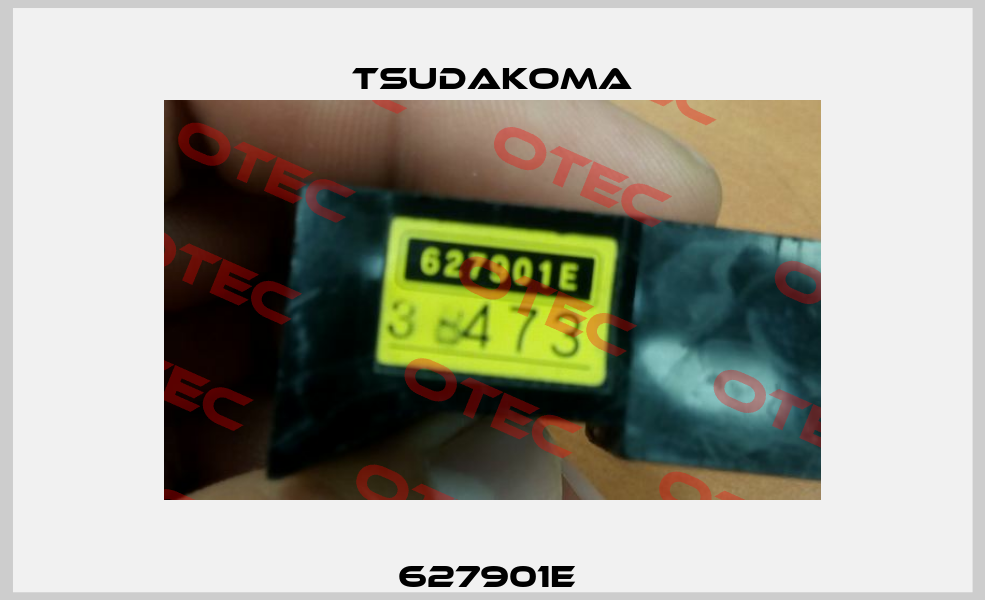 627901E  Tsudakoma
