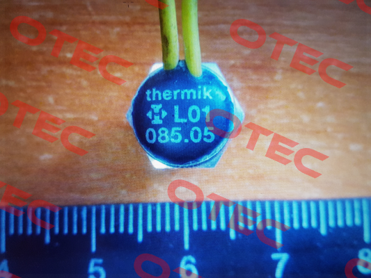 L01.085.05.0560 Thermik