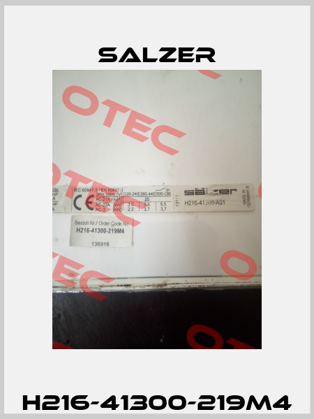 H216-41300-219M4 Salzer