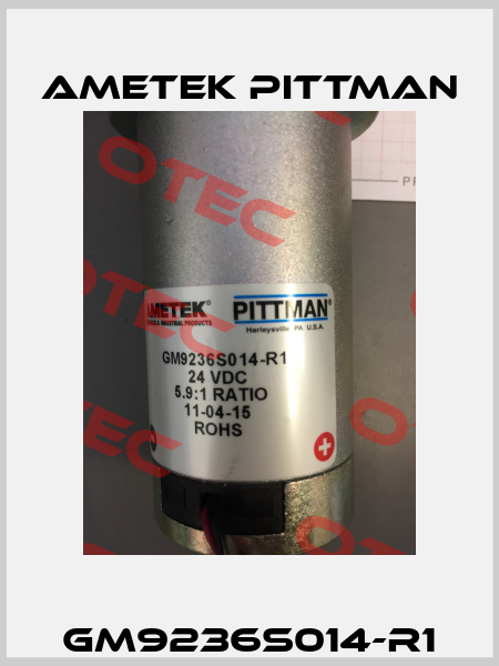 GM9236S014-R1 Ametek Pittman
