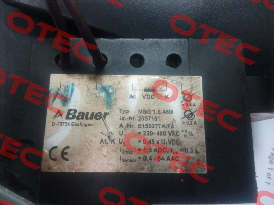 30404564 Bauer