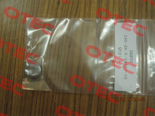 295-Z6-5-04037-00 Cashco