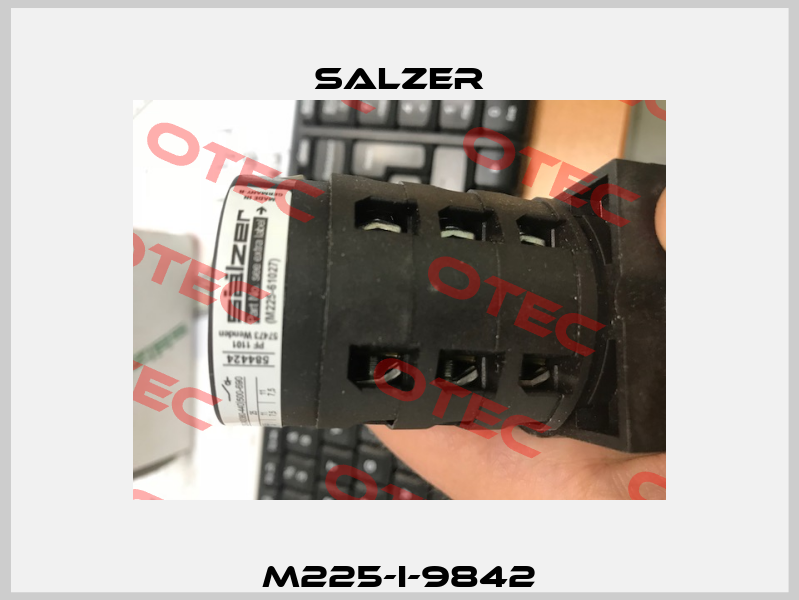 M225-I-9842 Salzer