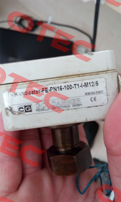 FE-PN16-100-T1-I-M12/5 Goldammer