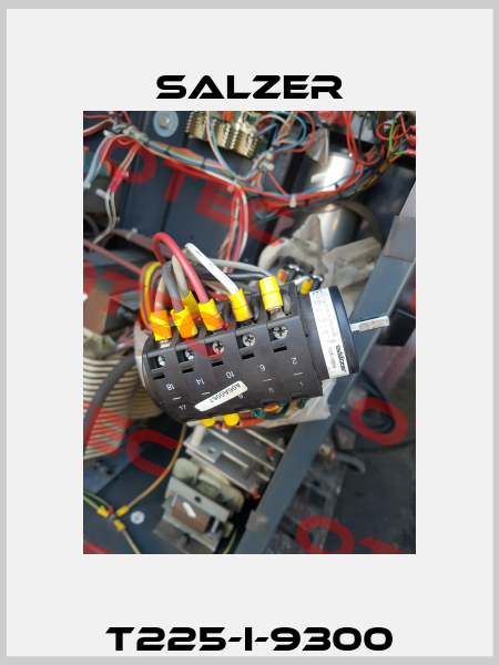 T225-I-9300 Salzer