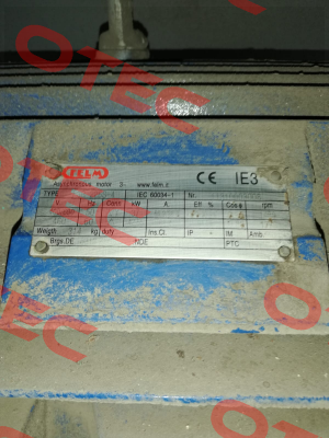 F3R 225S-4 Felm