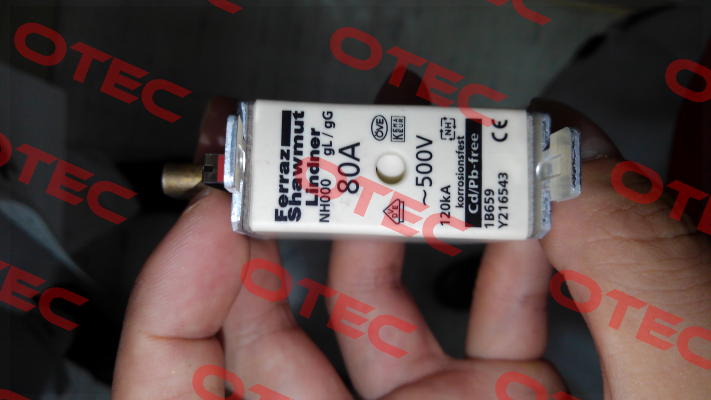 PN: Y216543  Type: NH000GG50V80 Mersen