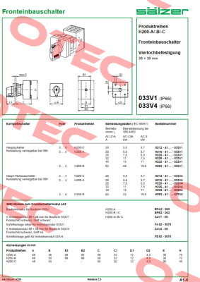 H263-41300-033V4 Salzer