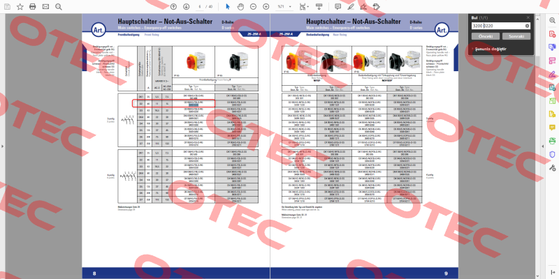 133905 Elektra Tailfingen