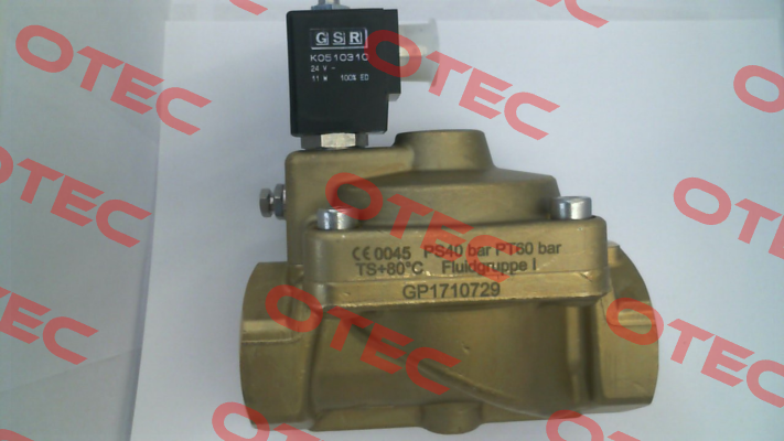 G051.000042.010.009.010 GSR