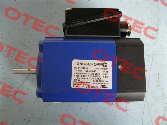 IGLU80-40/Z14 (250:1) Groschopp