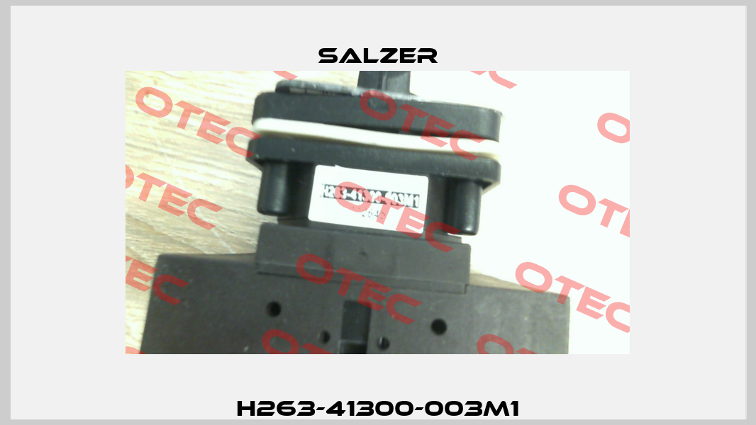 H263-41300-003M1 Salzer