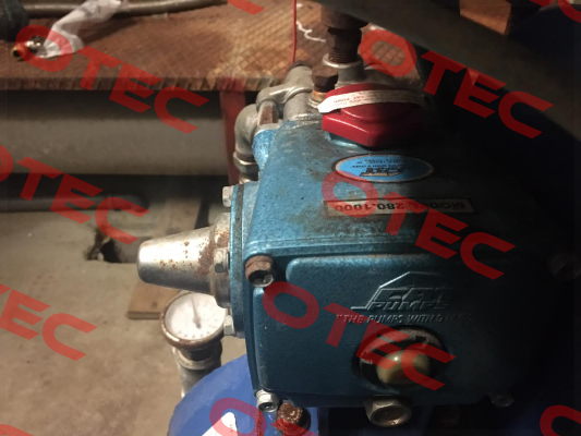 280.1000 Cat Pumps