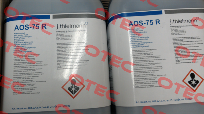 930220 J.Thielmann