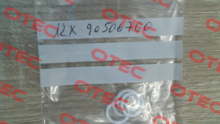 90.5067.00 Interpump