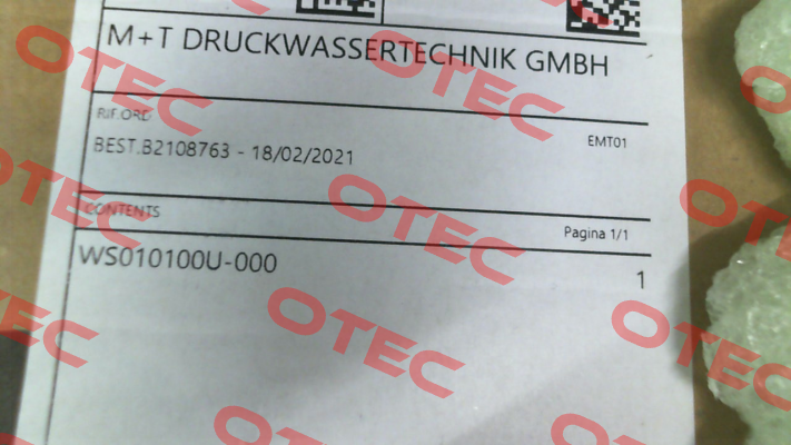 WS101 ATEX Interpump